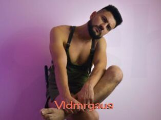 Vldmrgaus