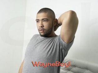 WayneBoyI
