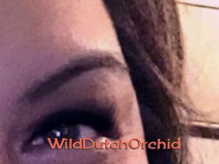 WildDutchOrchid