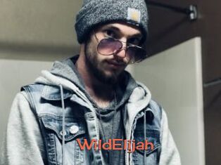 WildElijah