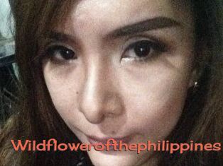 Wildflowerofthephilippines