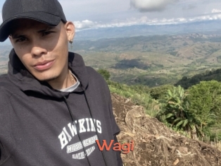 Wagi