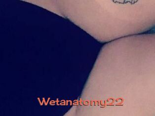 Wetanatomy22