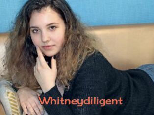 Whitneydiligent