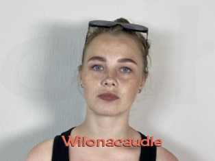 Wilonacaudle