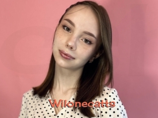 Wilonecatts