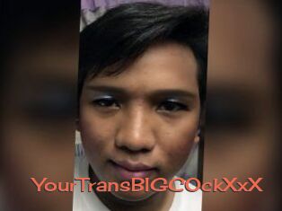 YourTransBIGCOckXxX