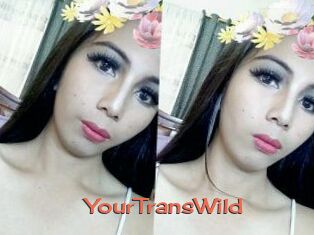 YourTransWild