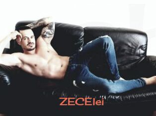ZECElei