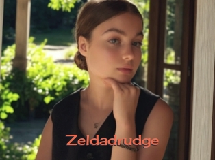 Zeldadrudge