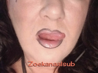 Zoekanaalsub